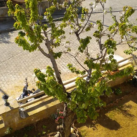 Suna Apartment İmroz